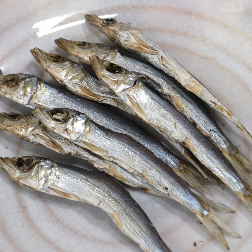 特牛産うるめいわし 吉田水産 特牛産うるめいわし 吉田水産