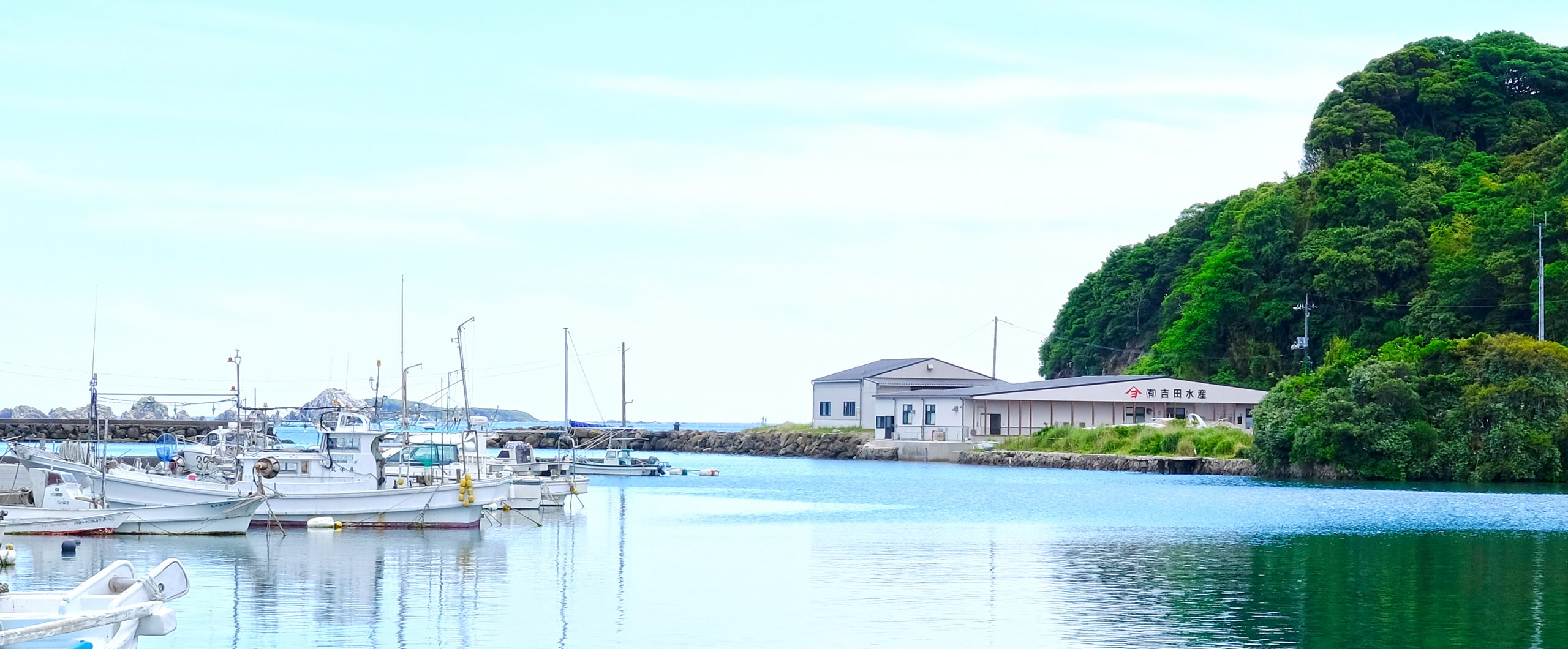 吉田水産